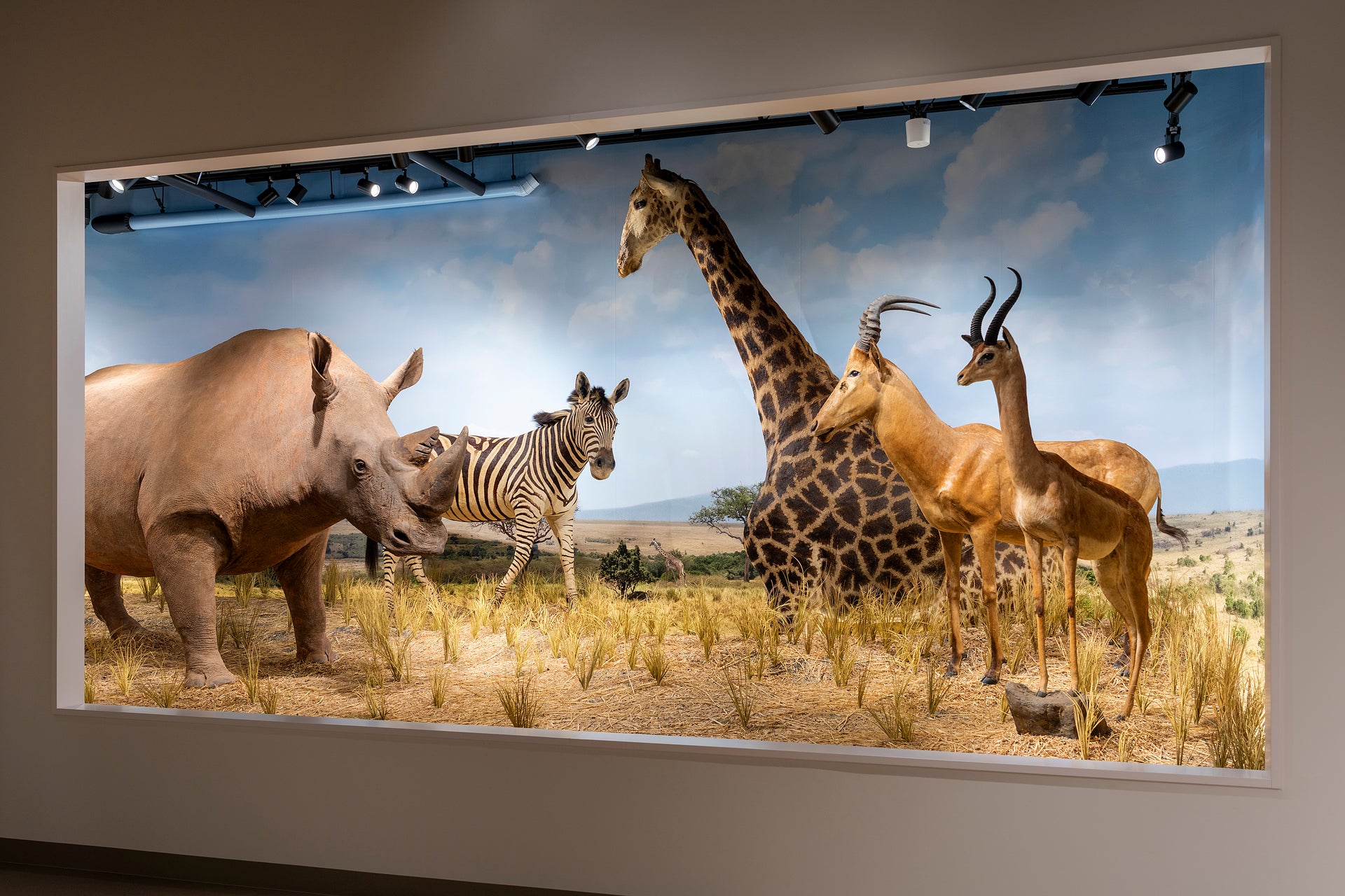 大阪芸術大学動物ジオラマ館　芸大Zoo1